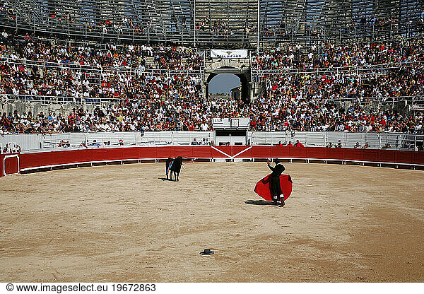 Bullfight in the Les Ar?nes Roman arena during the Feria du Riz  Rice festival  Arles  Provence  France.