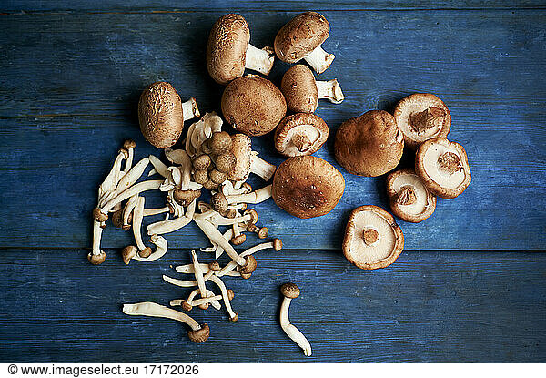 Bunch of brown and white edible mushrooms
