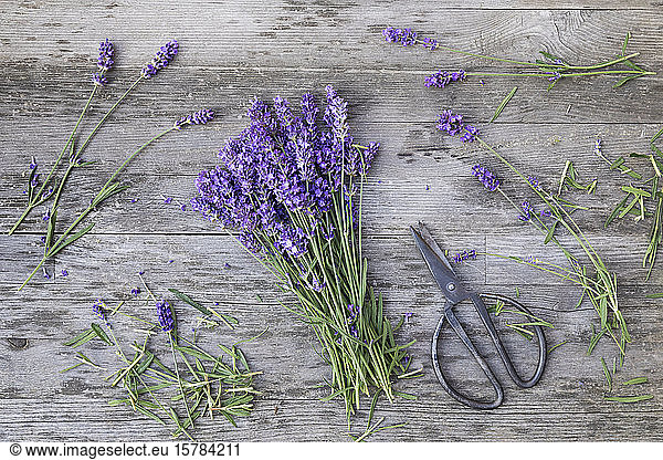 Bunch of lavender (Lavandula angustifolia) on wooden table