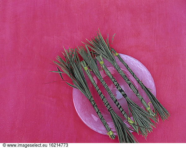 Bunched sedge grass on plate  studio shot