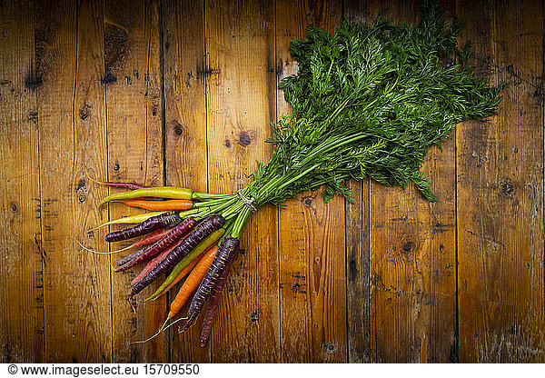 Bundle of fresh colorful carrots lying on wooden floor