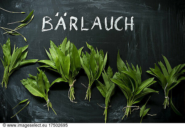 Bundles of fresh ramson lying on blackboard