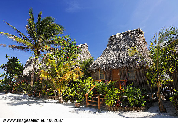 Bungalowanlage mit Schilfdächern und Palmen  San Pedro  Insel Ambergris Cay  Belize  Zentralamerika  Karibik