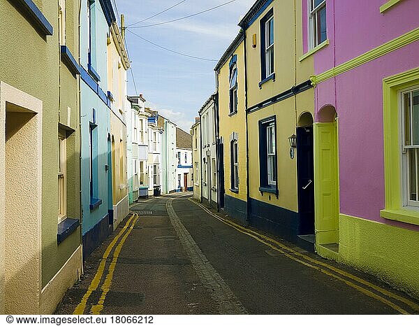 Bunte Reihenhäuser in der Irsha Street im Küstendorf Appledore  Devon  England  Großbritannien  Europa