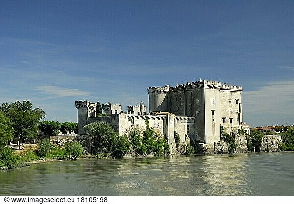 Burg  Chateau Royal  Tarascon  an der Rhone  Bouches-du-Rhone  Provence  Südfrankreich  Frankreich  Europa