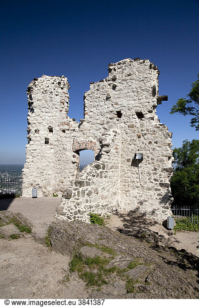 Burg Drachenfels  Ruine  Königswinter  Rheinland  Nordrhein-Westfalen  Deutschland  Europa