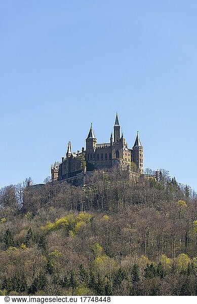 Burg Hohenzollern bei Hechingen im Frühjahr  Schwäbische Alb  Baden-Württemberg  Deutschland  Europa
