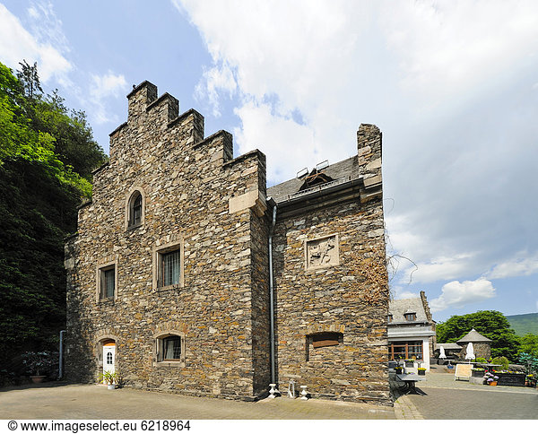 Burg Reichenstein  Trechtingshausen  Unesco Weltkulturerbe Oberes Mittelrheintal  Rheinland-Pfalz  Deutschland  Europa