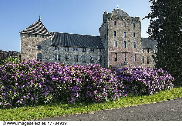 Burg van Male  westflanderen  Brügge  rhododendren  Belgien  Europa