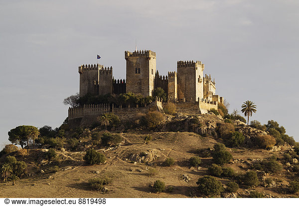 Burg von Almodóvar del Río  8. Jahrhundert  Provinz Cordoba  Andalusien  Spanien