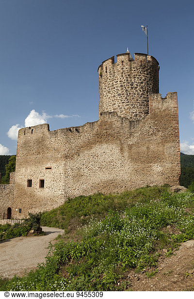 Burgruine Sentier du Château Kaysersberg Elsass Frankreich Europa