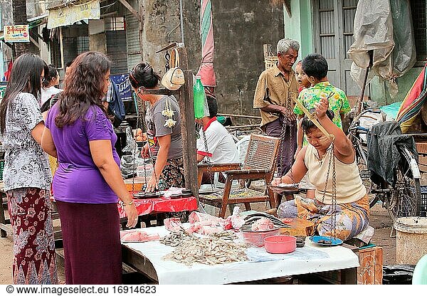 Burma Frauen verkaufen Fisch auf dem lokalen Markt  Yangon  Myanmar