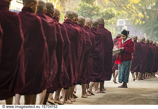 Burmese woman giving steamed rice to monks standing in line  Nyaung U  Myanmar