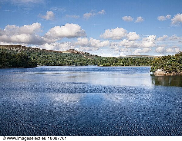 Burrator Reservoir in late summer with Leather Tor in the distance. Dartmoor National Park  Devon  England  United Kingdom  Europe