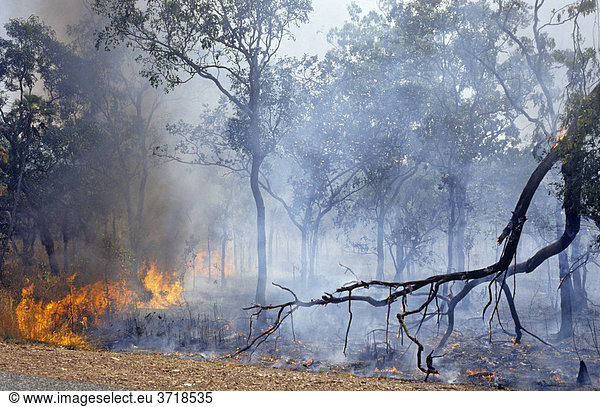 Buschfeuer im Litchfield Nationalpark Australien