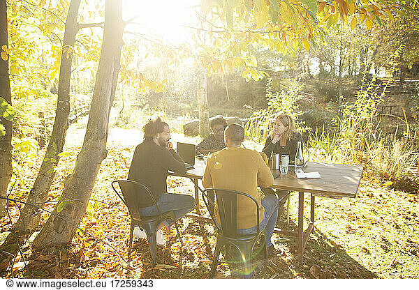 Business people working at table in sunny idyllic autumn park