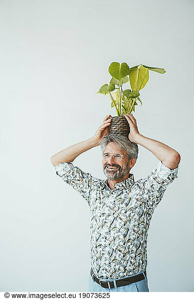 Businessman holding plant overhead in front of wall