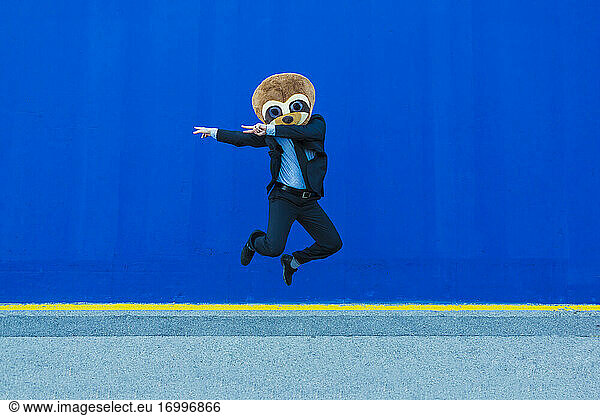 Businessman in black suit with meerkat mask jumping in the air in front of blue wall
