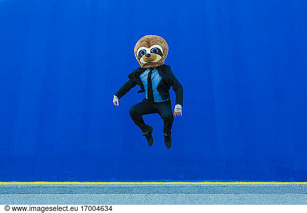 Businessman in black suit with meerkat mask jumping in the air in front of blue wall