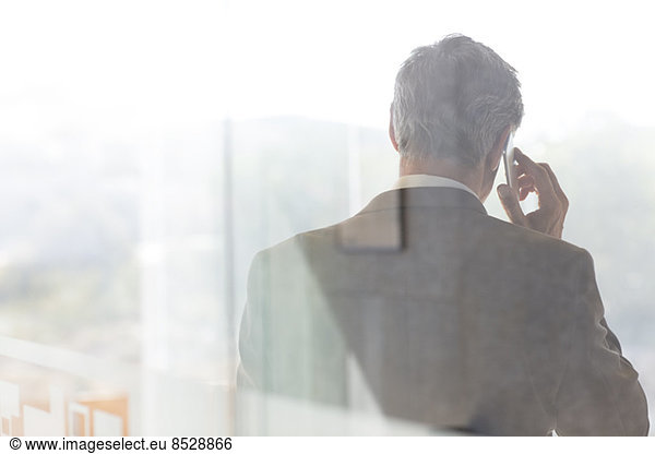 Businessman talking on cell phone in office
