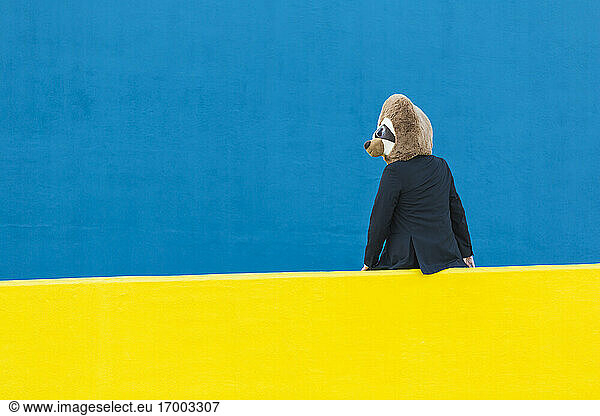 Businessman with meerkat mask sitting on yellow wall in front of blue background