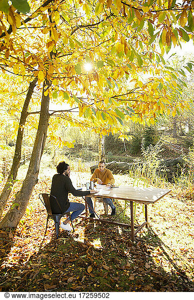 Businessmen working at table in sunny idyllic autumn park