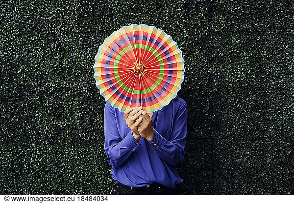 Businesswoman covering face with multi colored folding fan in front of hedge