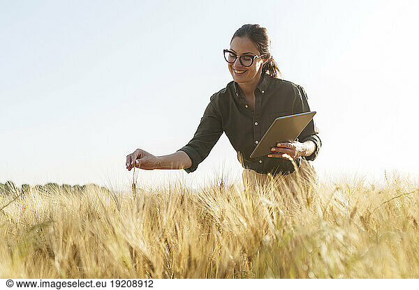 Businesswoman holding tablet PC examining wheat crop at field