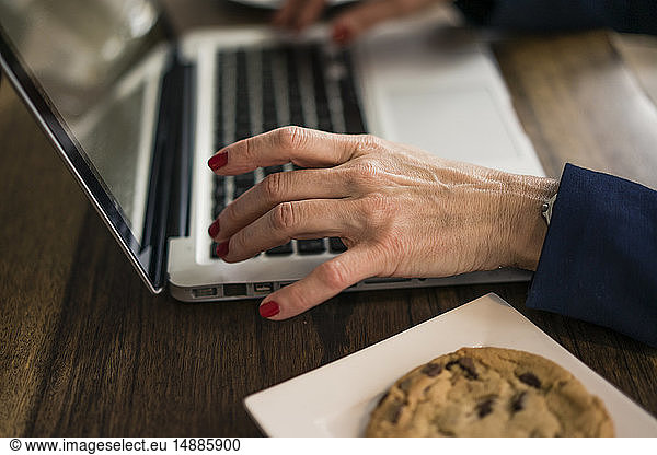 Businesswoman sitting in coffee shop  having lunch  working on laptop