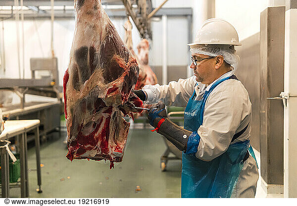 Butcher cutting cow leg in slaughterhouse