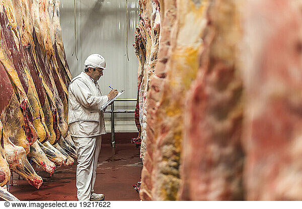 Butcher sorting and taking inventory of meat at slaughterhouse