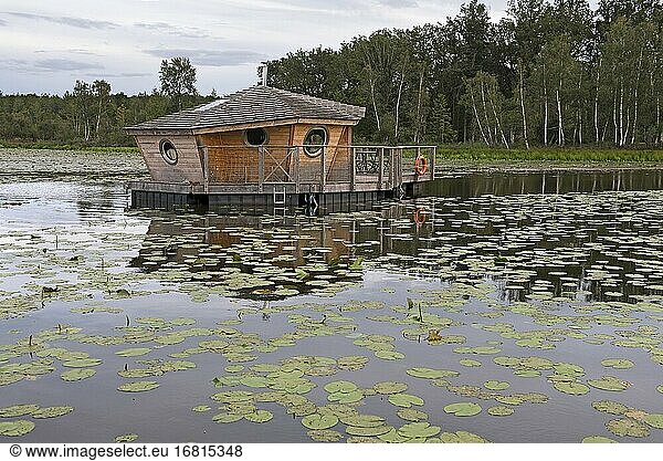 Cabane flottante du Clos de la Loutre  Etang de Bornacq  Loye-sur-Arnon  departement du Cher  Province historique du Berry  Region Centre-Val de Loire  Frankreich/Schwimmende Hütte des Clos de la Loutre  Etang de Bornacq  Loye-sur-Arnon  Departement Cher  Historische Provinz Berry  Region Centre-Valde Loire .