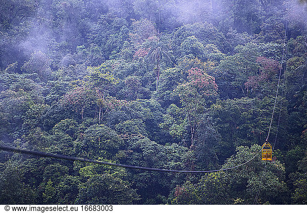 Cable car at the rainforest in Mindo  close to the equator  Ecuador