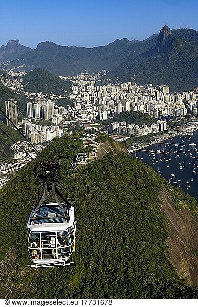 Cable car up Sugar Loaf Mountain  Pao de Acucar  Rio de Janeiro  Brazil  South America