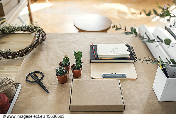 Cacti and accessories on table