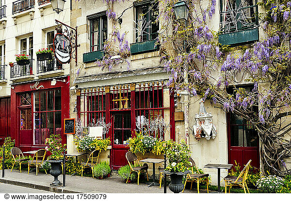 Cafe exterior  pavement exterior and flowering wisteria climbing plants  street signs.