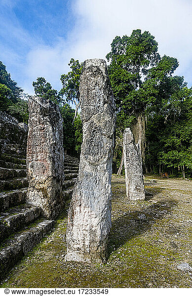 Calakmul  UNESCO-Weltkulturerbe  Campeche  Mexiko  Nordamerika