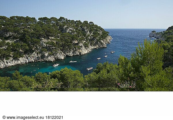 Calanque de Port-Pin  Cassis  Cote d'Azur  Französische Riviera  Provence-Alpes-Cote-d'Azur  Frankreich  Europa