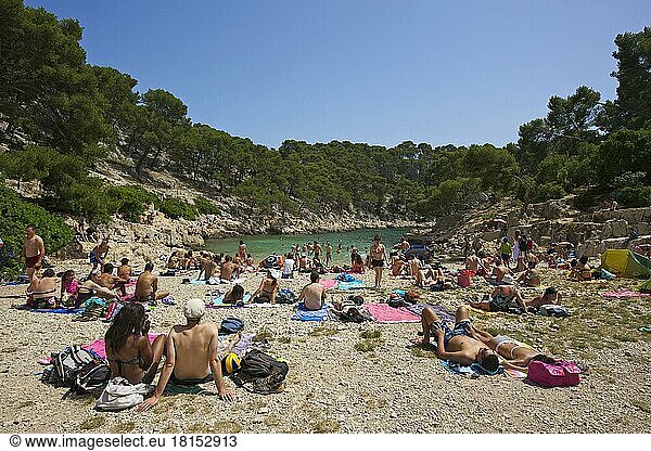 Calanque de Port-Pin  Cassis  Cote d'Azur  Französische Riviera  Provence-Alpes-Cote-d'Azur  Frankreich  Europa