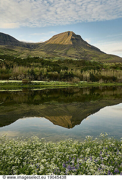 Calm lake surrounded by mountains and flowers