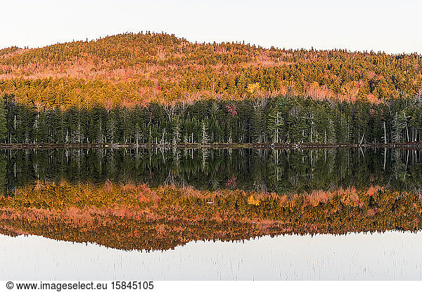 Calm reflection on Pond in Maine