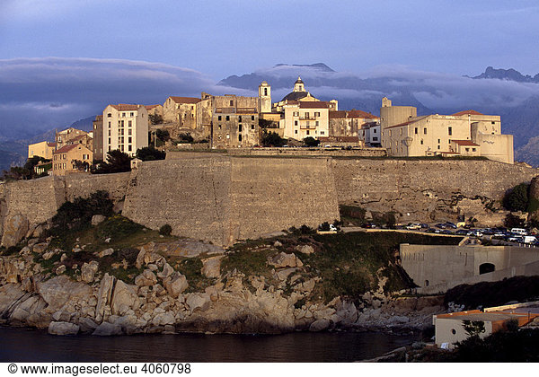 Calvi mit Zitadelle  Korsika  Frankreich  Europa