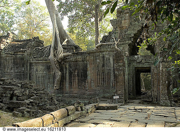 Cambodia  Angkor  Preah Khan Temple  ruins