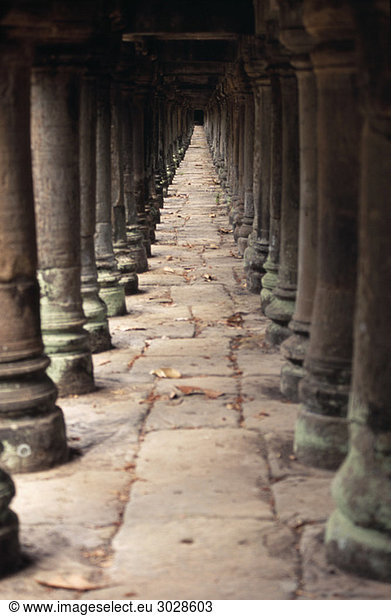 Cambodia  Siem Reap  Angkor  Baphuon Temple  Colonnades