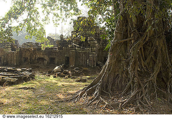 Cambodia  Siem Reap  Preah Khan Temple  Ruins