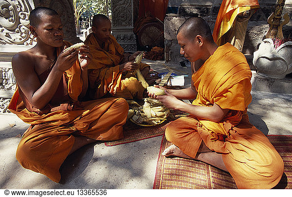 CAMBODIA Siem Reap Province Angkor Thom Buddhist monks eating steamed and boiled corn donated by elderly lady.