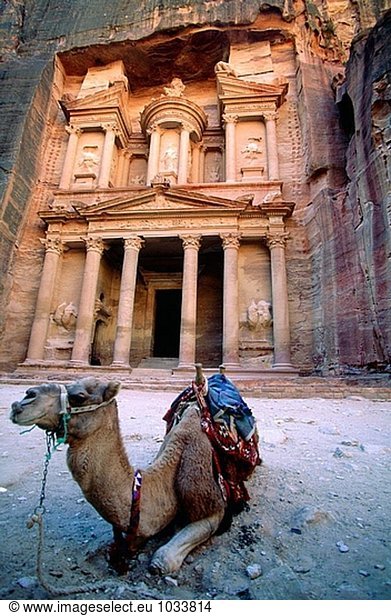 Camel am Khasneh (´Treasury´). Petra. Jordanien