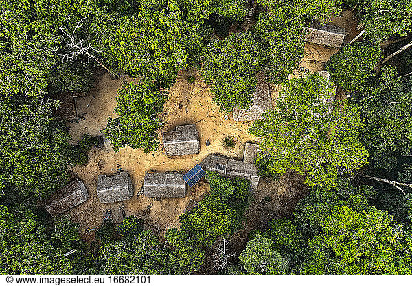 Camp für das Studium der wilden Fauna. Dzanga Sangha. Zentralafrikanische Republik