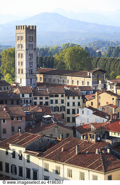 Campanile  San Frediano  Lucca  Toskana  Italien