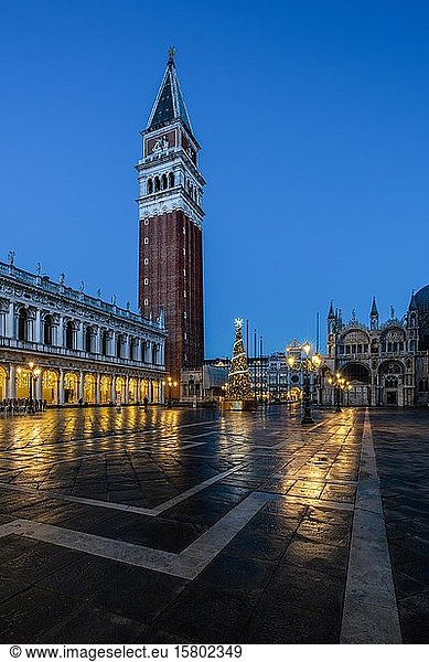 Campanile und Markusplatz mit Weihnachtsbaum  Venedig  Italien  Europa